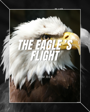 The Eagle's Flight