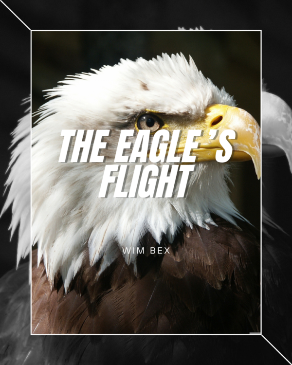 The Eagle's Flight